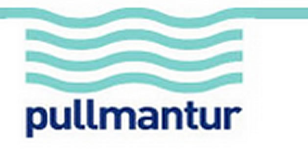 Logo Pullmatur